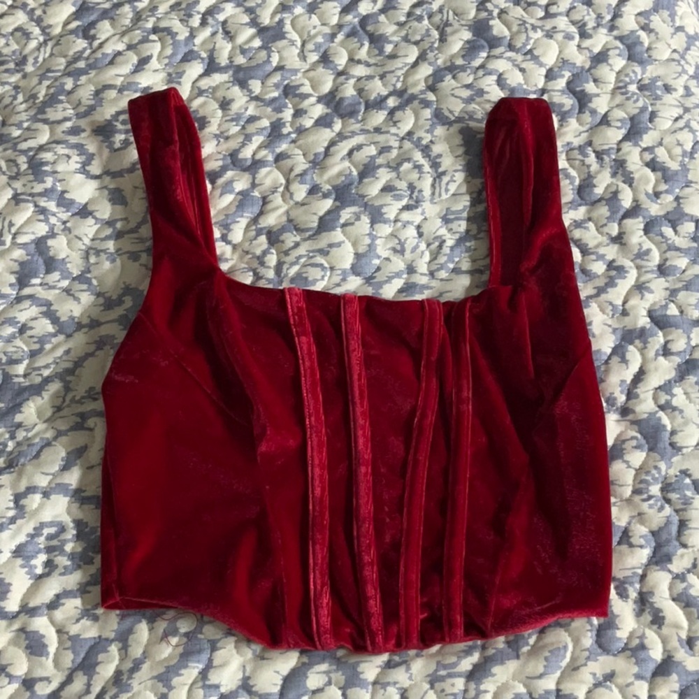 Fashion Nova Red Velvet Crop Tank Top
